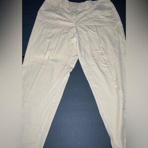 Liz Claiborne Audra Fit Cool Reflection C-1 Beige Pants Women's Size 16